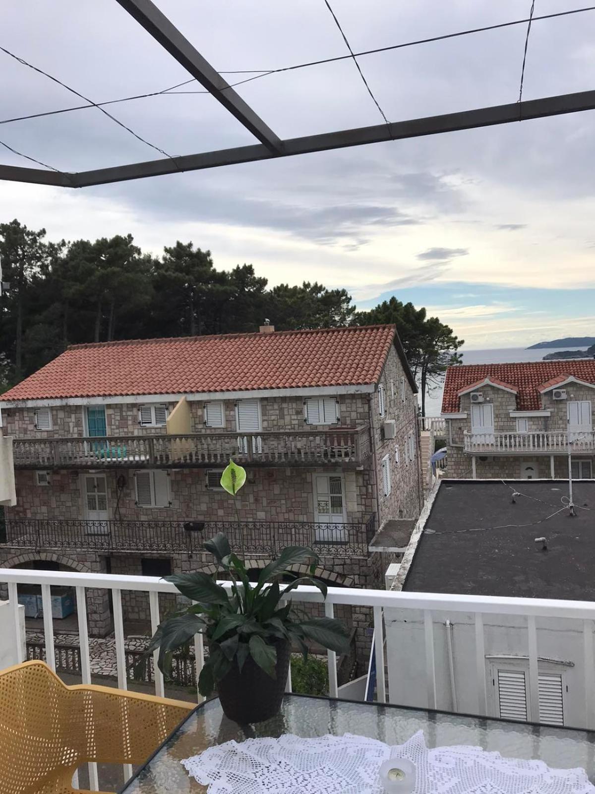 Apartments Vila Andja 斯韦蒂·斯特凡 客房 照片